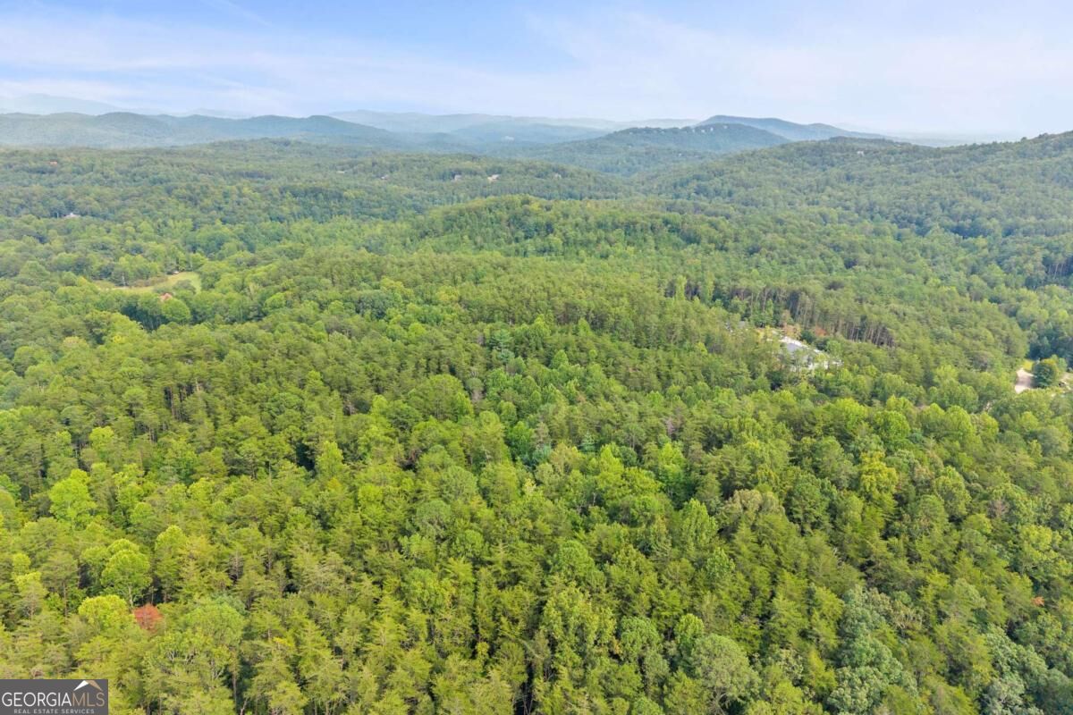 43 Whispering Pines Lane Property Photo 31