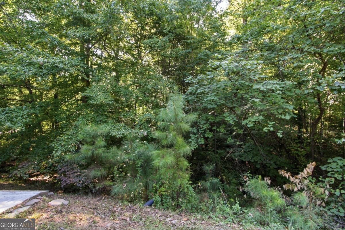 39 Spring Leaf Place Property Photo 22