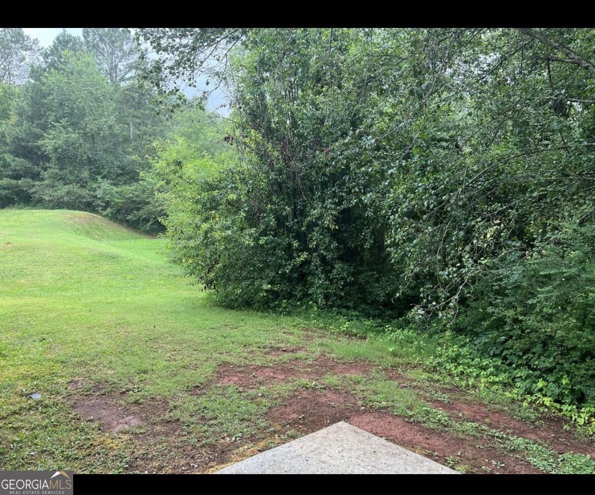 4538 Idlewood Park Property Photo 3