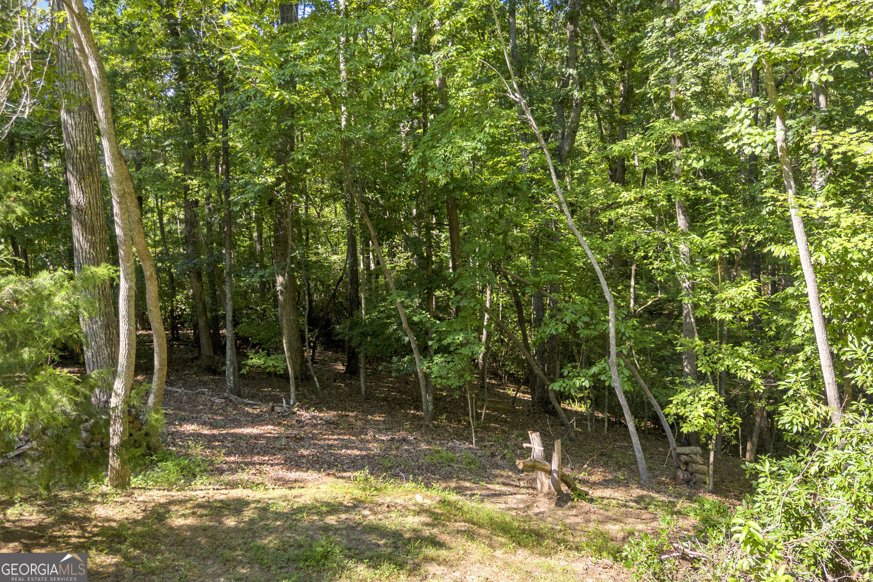 445 Skyview Circle Property Photo 43