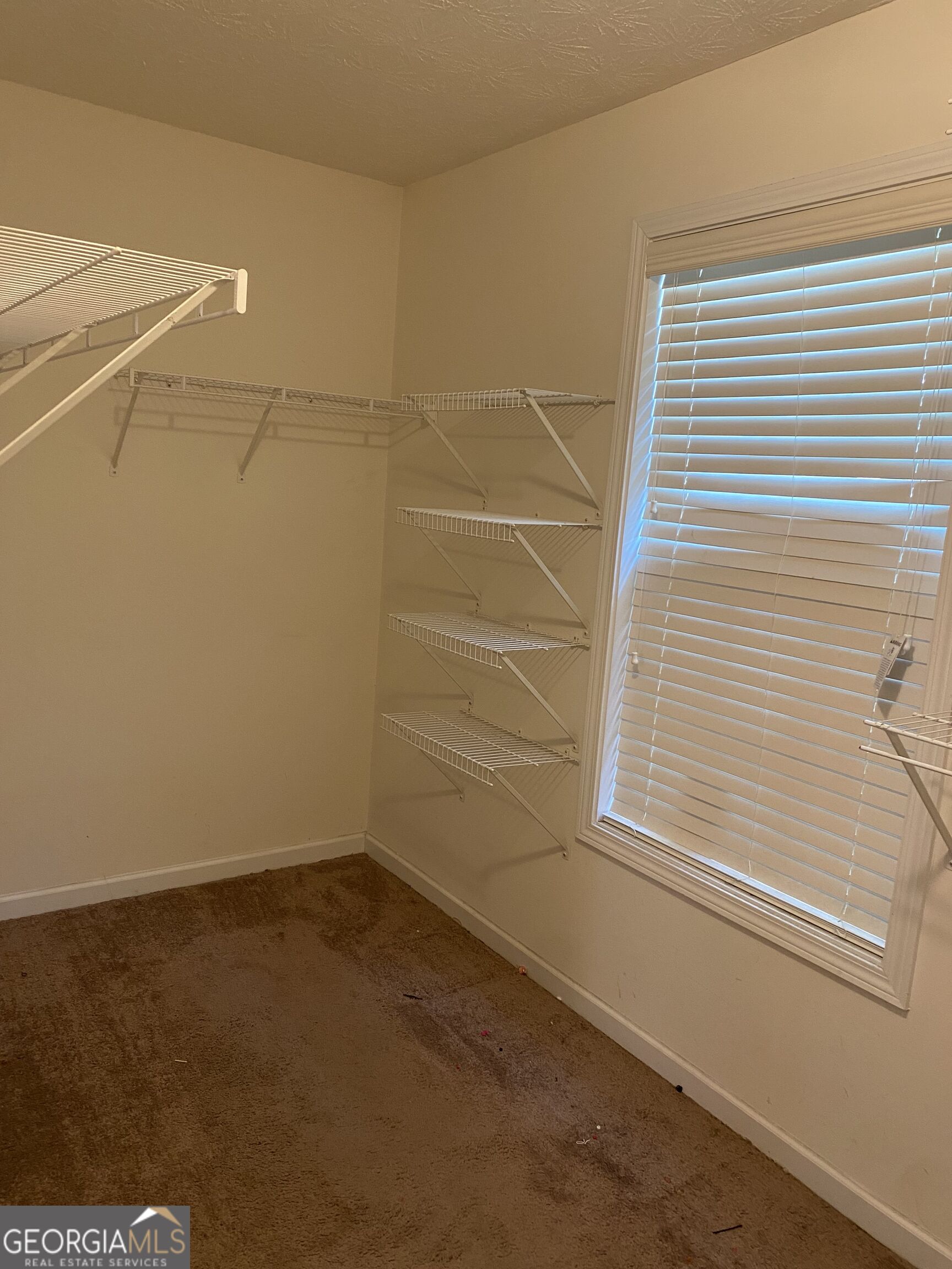 1129 River Tusk Place Ne Property Photo 17