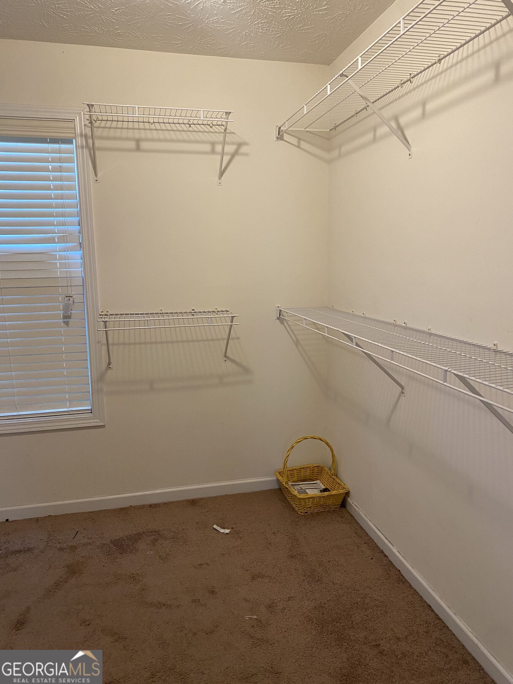 1129 River Tusk Place Ne Property Photo 18