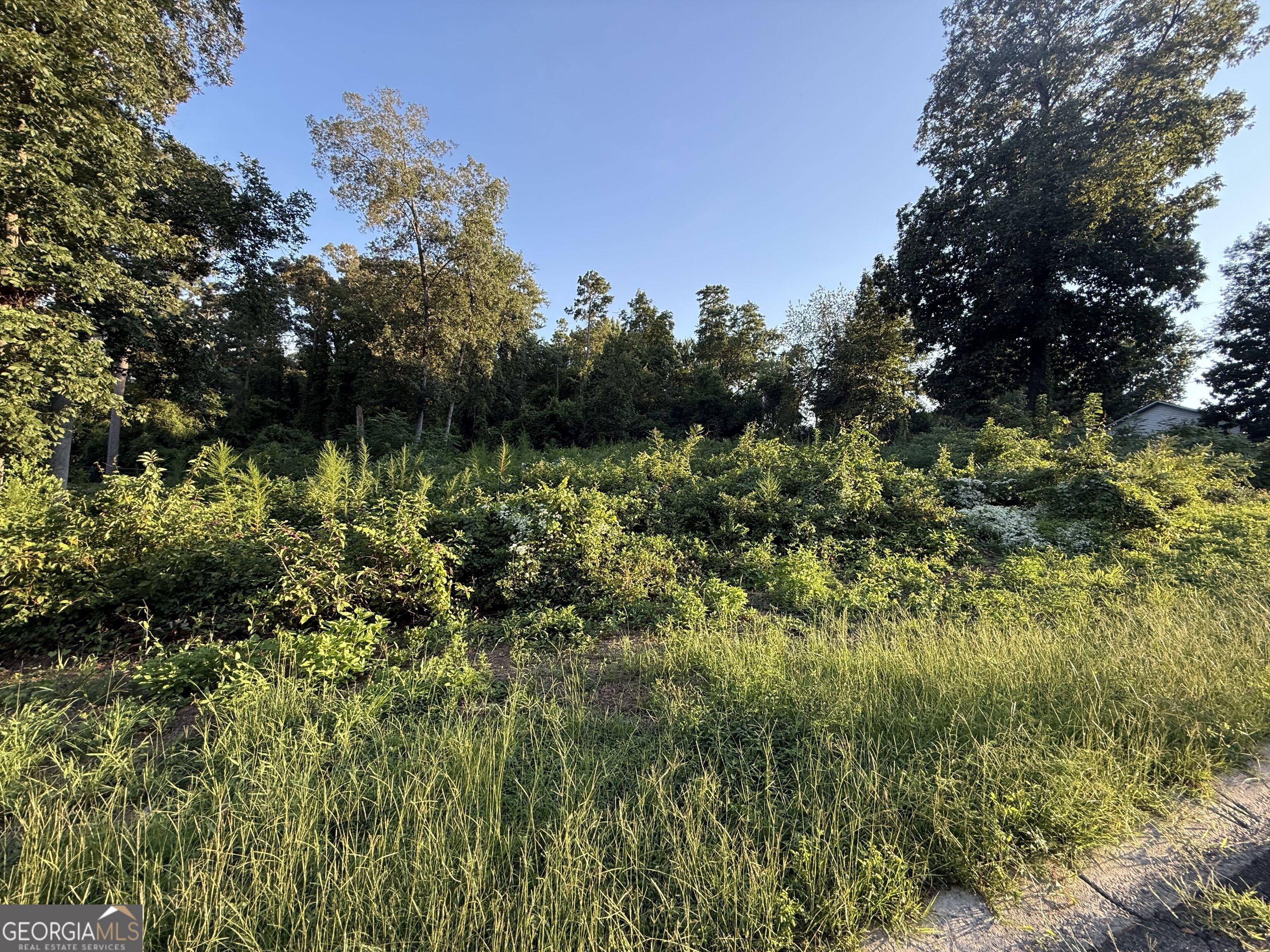 121 Blue Ridge Lane Property Photo 1