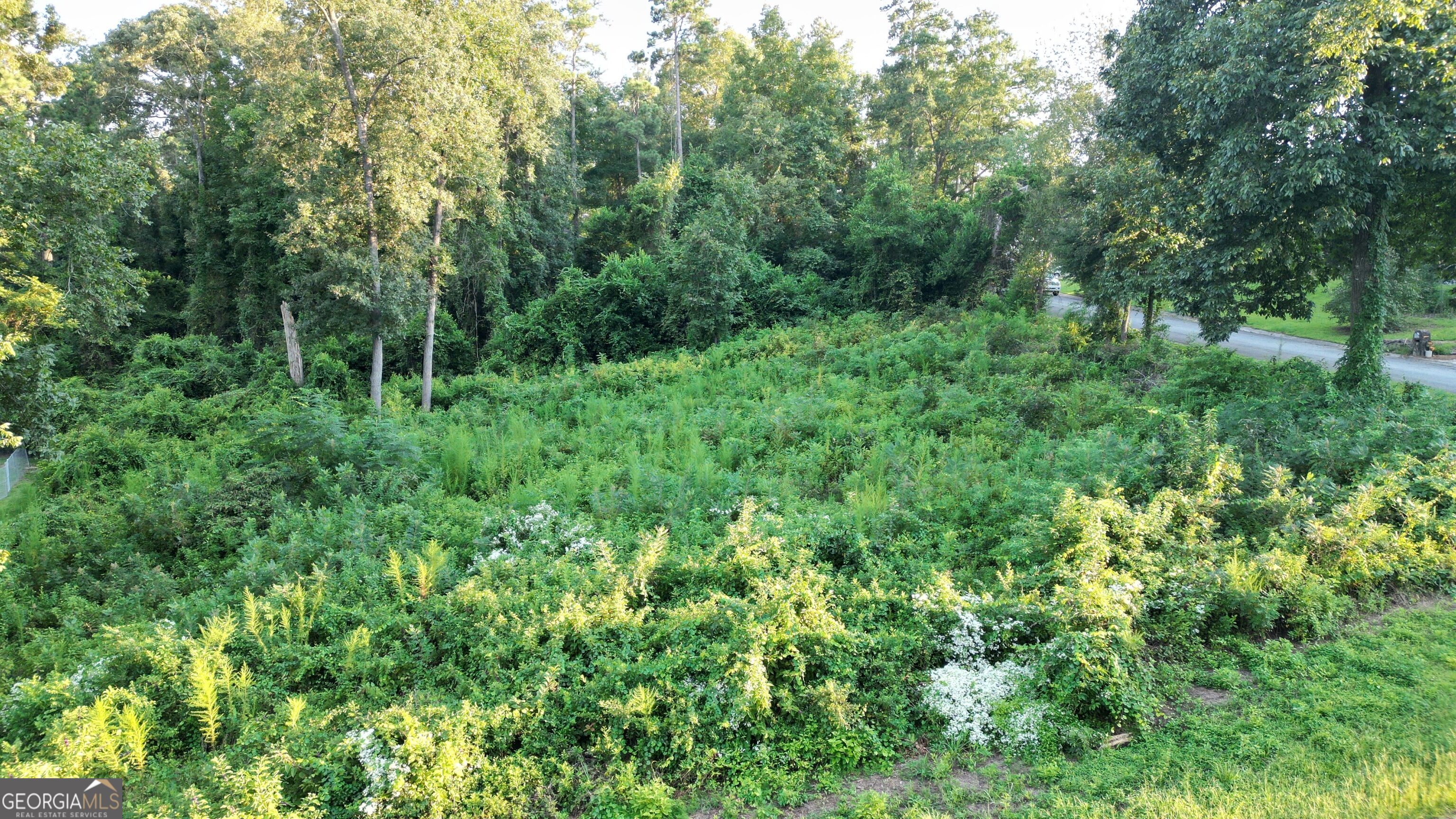 121 Blue Ridge Lane Property Photo 4