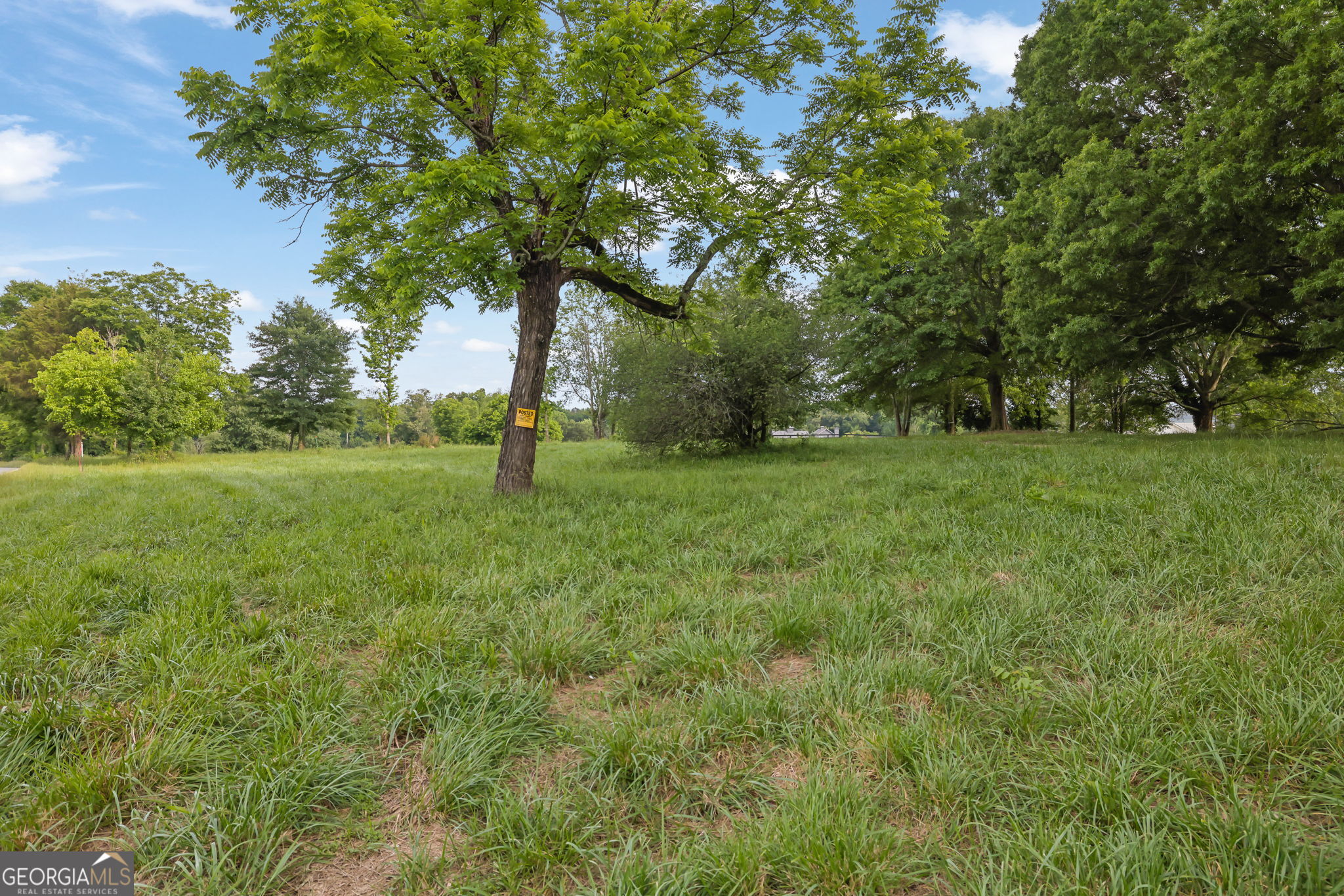 5385 Drew Road Property Photo 4