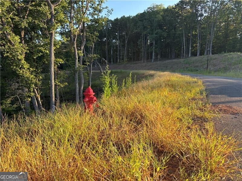 Lot 18 Norton Lane Property Photo 8