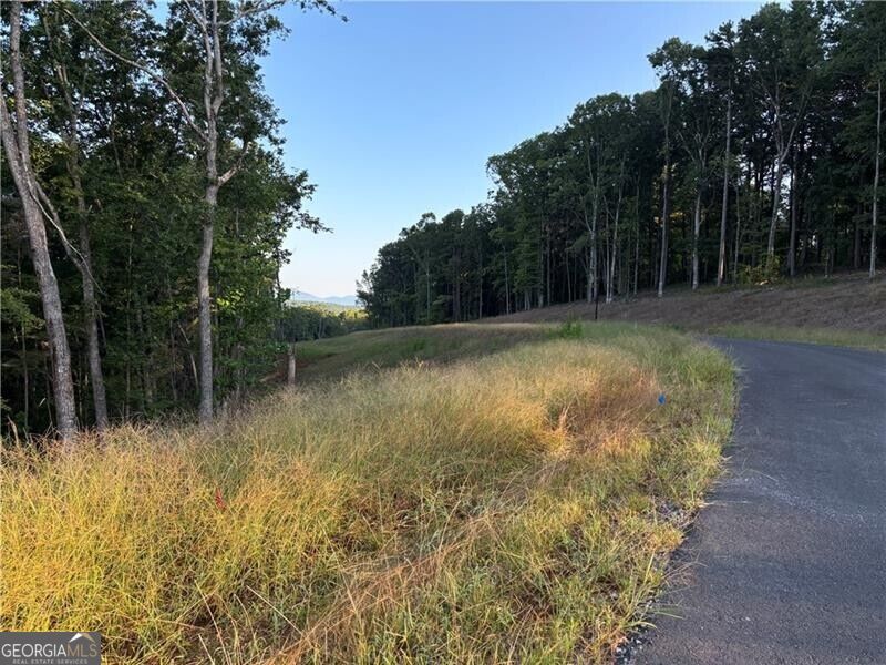 Lot 18 Norton Lane Property Photo 9