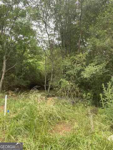 0 River Birch Lane # 9 Property Photo 2