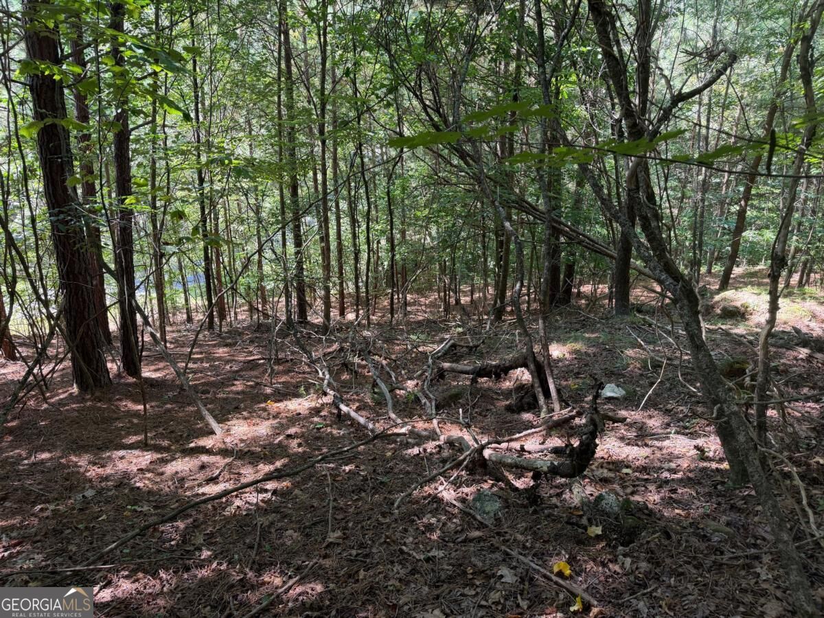 Lot 25 Trailwood Drive Property Photo 1