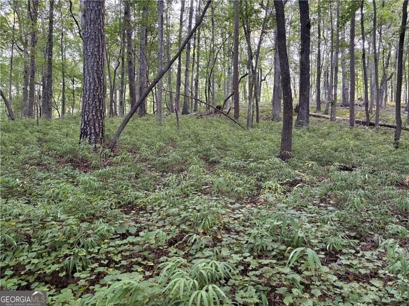 Lot 17 Norton Ridge Property Photo 6