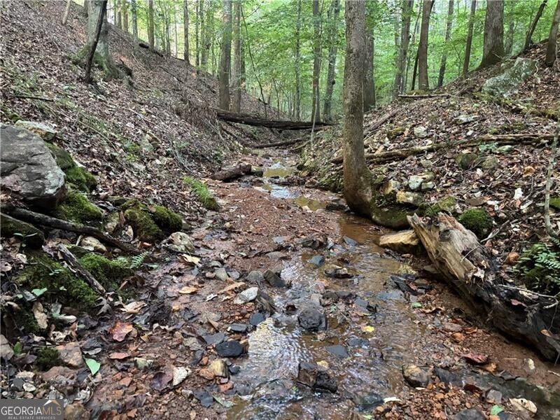 Lot 17 Norton Ridge Property Photo 15
