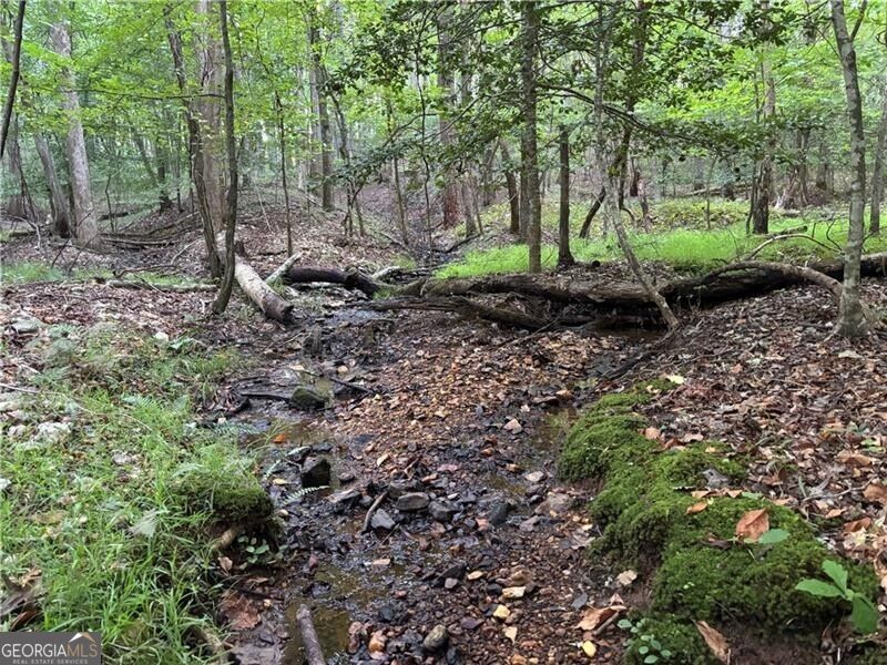 Lot 17 Norton Ridge Property Photo 20