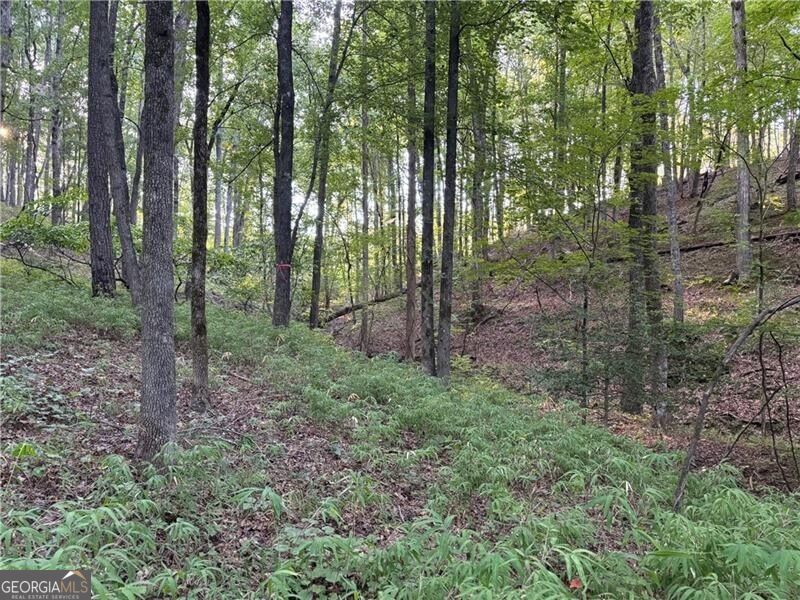 Lot 17 Norton Ridge Property Photo 27