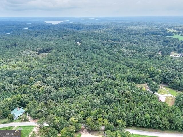 0 Pickens Pointe Drive Property Photo 10