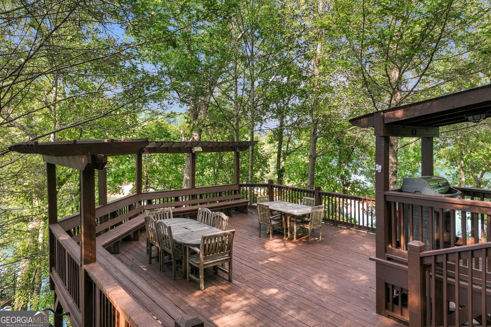 319 Chestatee View Drive Property Photo 49