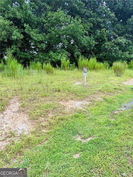0 Big Valley Drive Property Photo 1