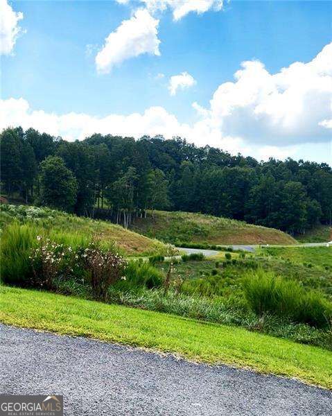 0 Big Valley Drive Property Photo 2