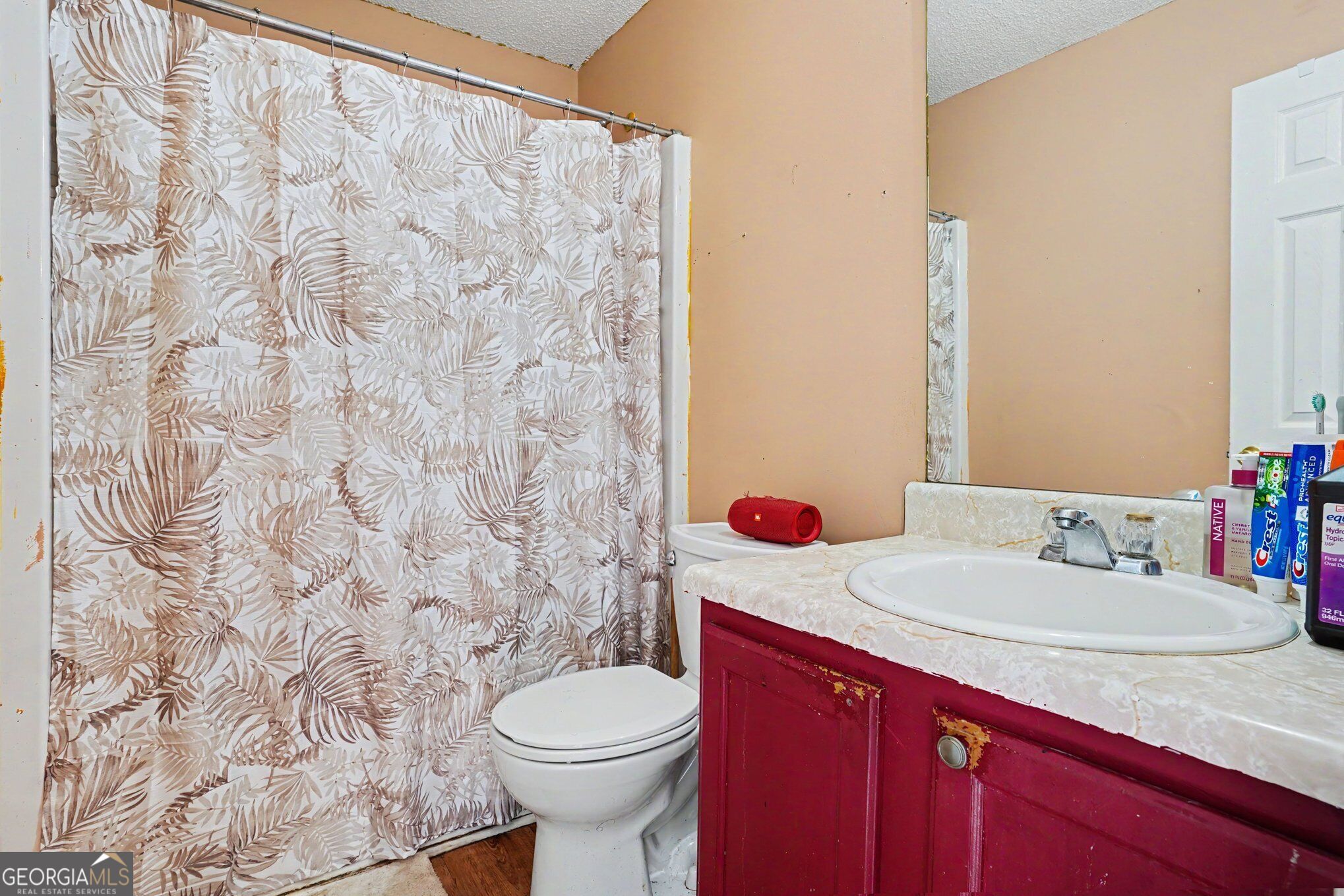 925 Reda Court Property Photo 34