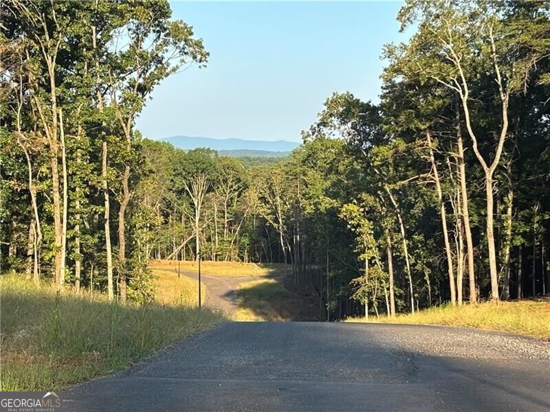 Lot 13 Norton Trail Property Photo 3