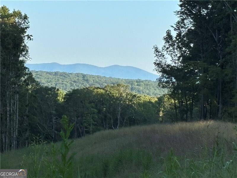Lot 13 Norton Trail Property Photo 5