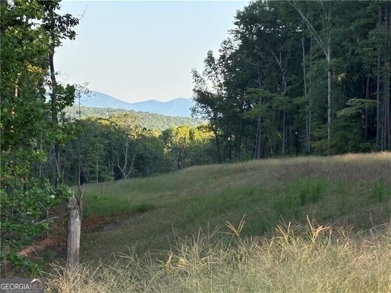 Lot 13 Norton Trail Property Photo 12