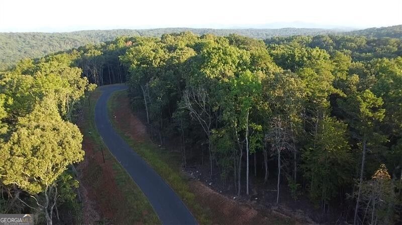 Lot 13 Norton Trail Property Photo 19