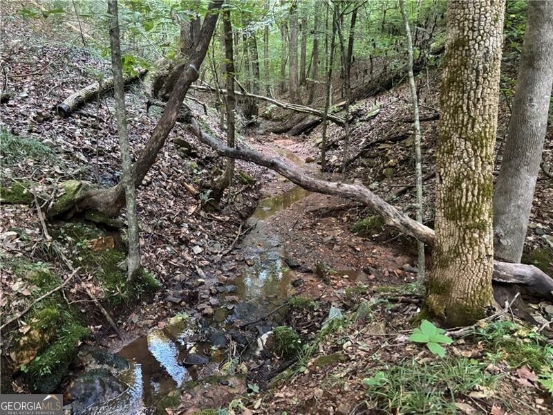 Lot 13 Norton Trail Property Photo 26