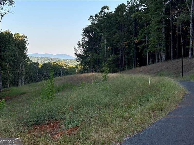 Lot 6 Norton Ridge Property Photo 9
