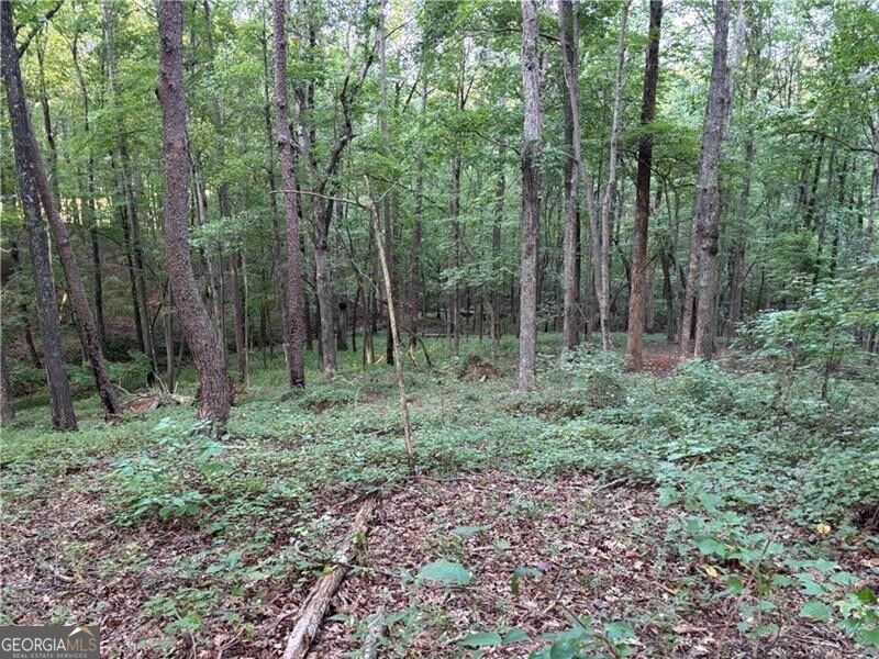 Lot 6 Norton Ridge Property Photo 17