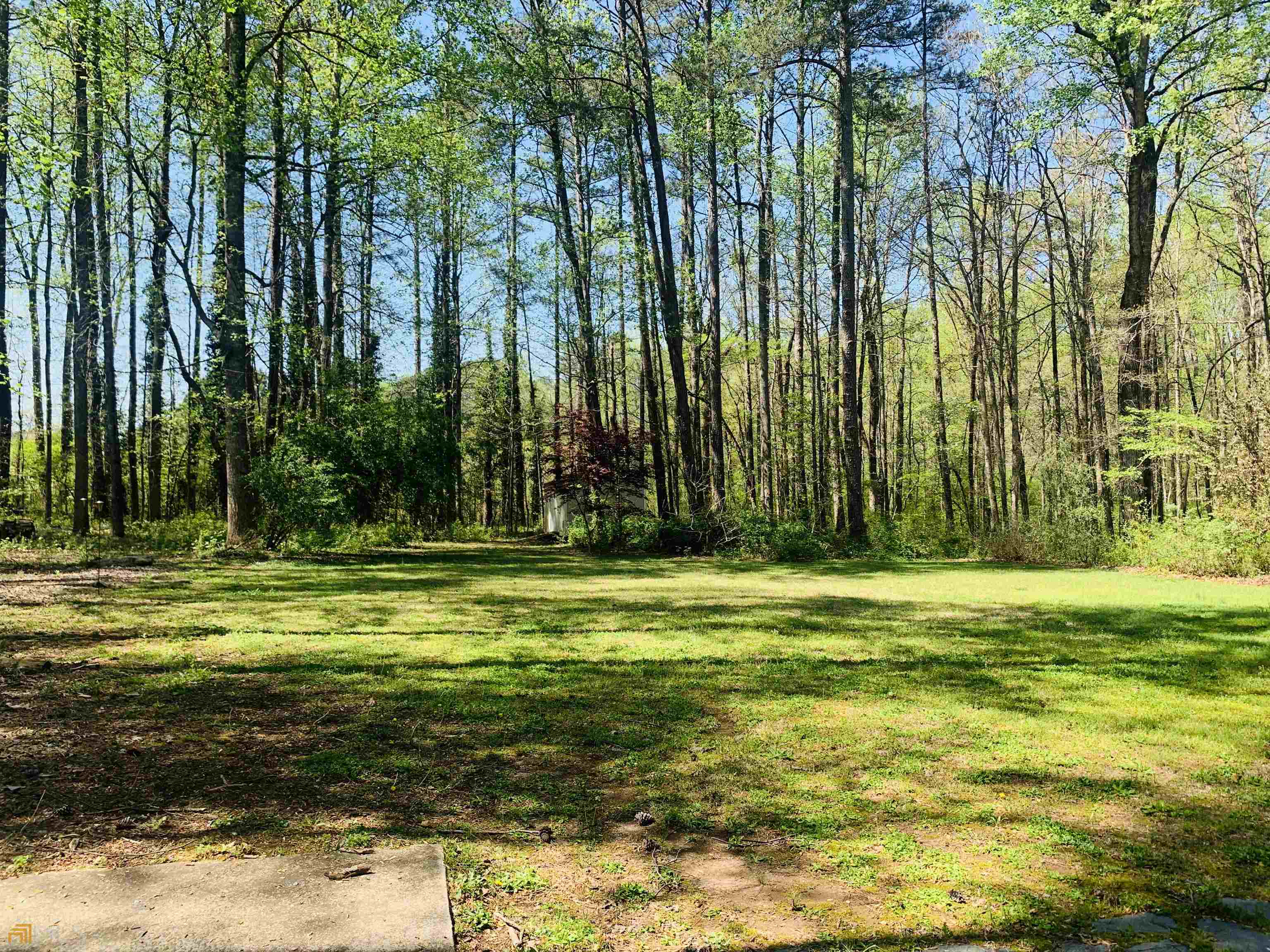 210 Spring Forest Way Property Photo 2