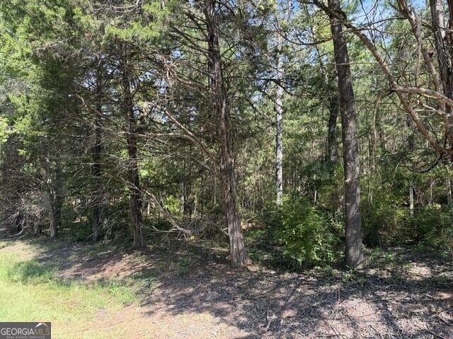 462 Amaryllis Drive Property Photo 3