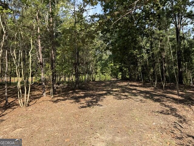 462 Amaryllis Drive Property Photo 6