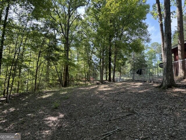 462 Amaryllis Drive Property Photo 12