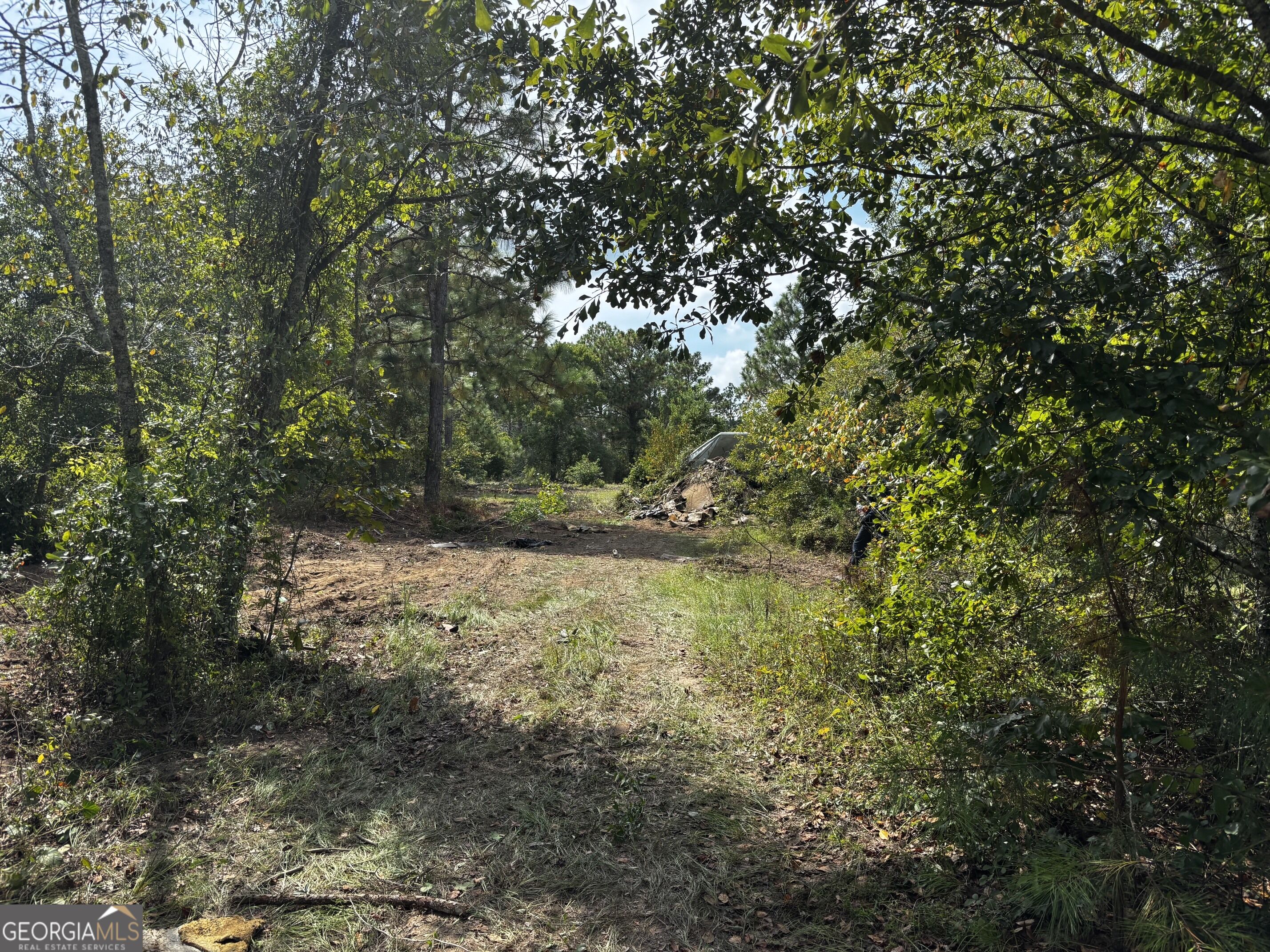 1013 Blasingame Road Property Photo 4
