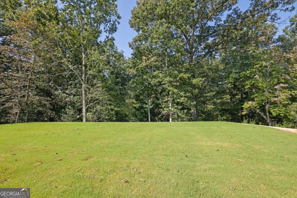 255 Clear Creek Preserve Way Property Photo 44