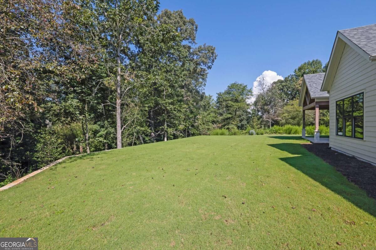 255 Clear Creek Preserve Way Property Photo 46