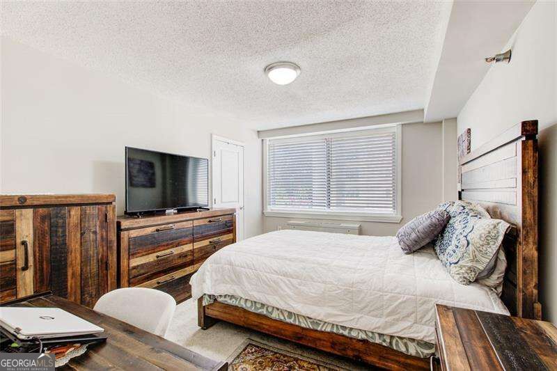 2479 Peachtree Road Ne # 304 Property Photo 17