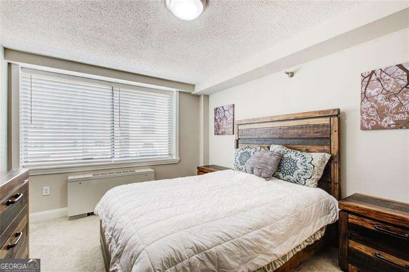 2479 Peachtree Road Ne # 304 Property Photo 18