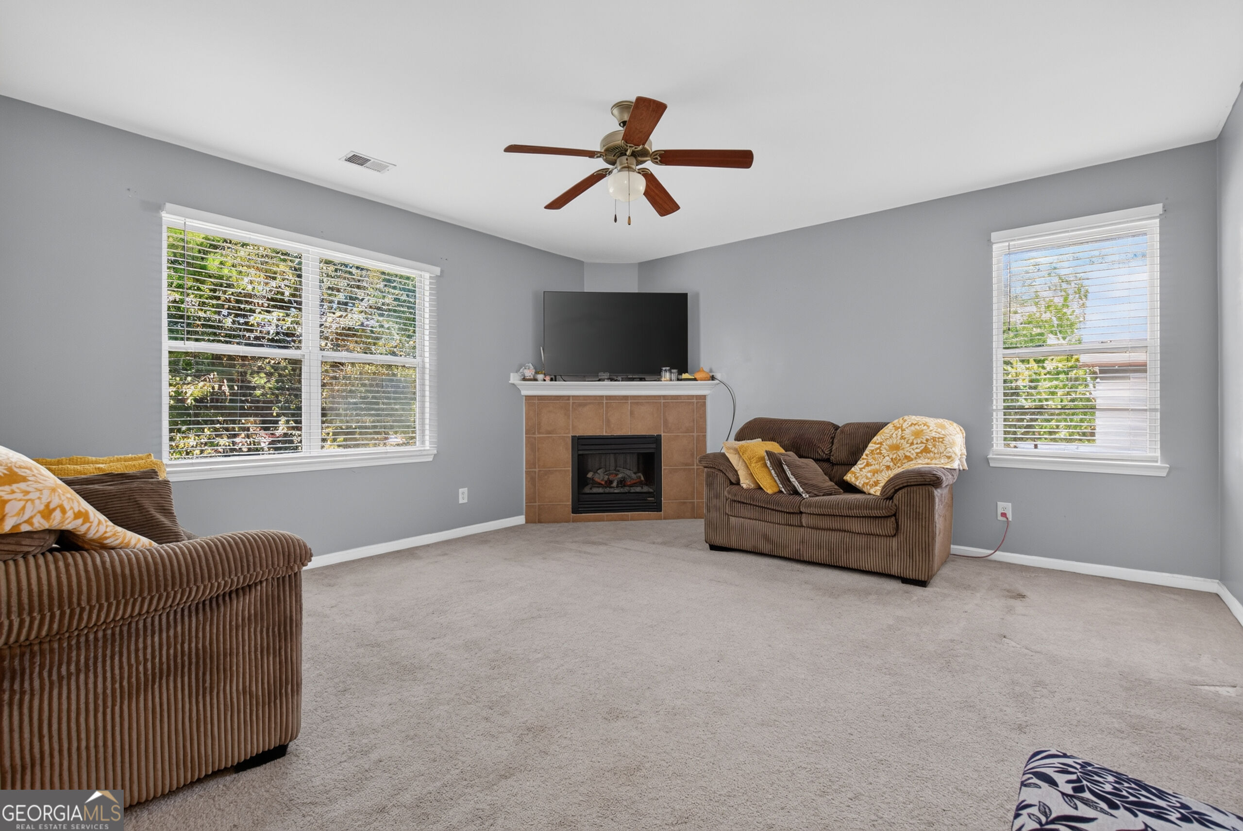 3746 Brittany Walk Property Photo 7