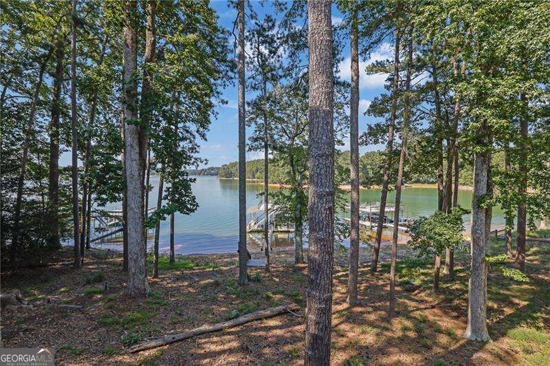 3275 Lanier Beach South Road Property Photo 65
