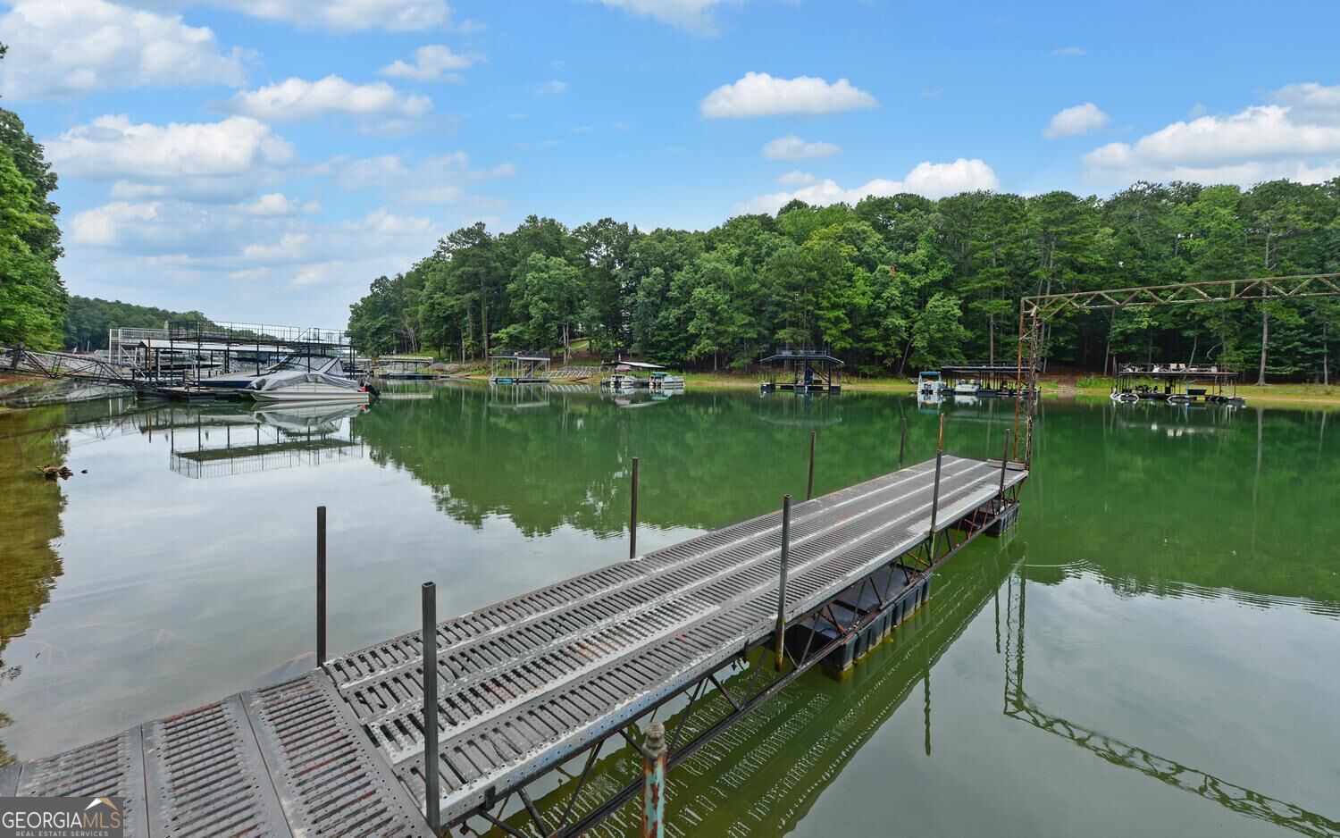 6285 Old Shadburn Ferry Road Property Photo 1