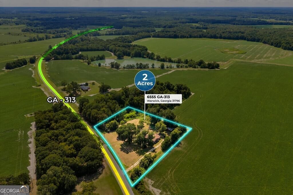 6555 Ga Hwy 313 Property Photo 4