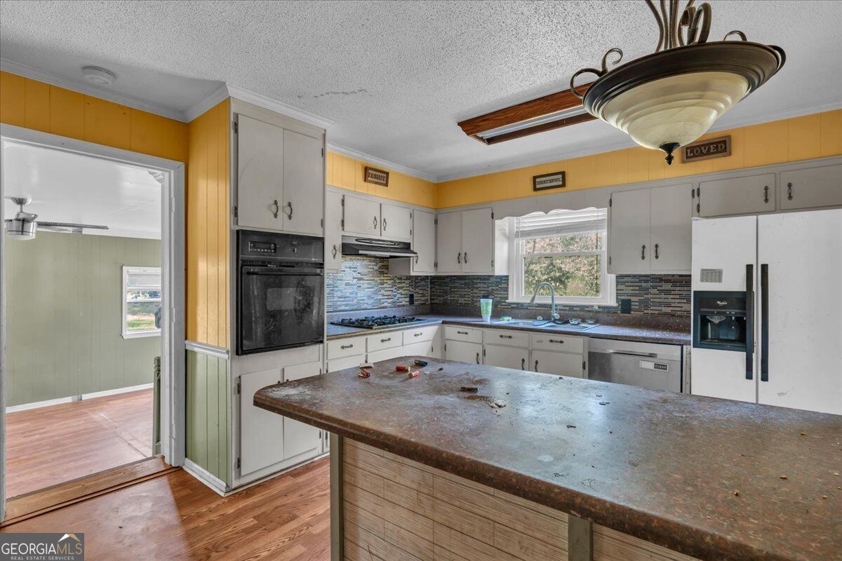 6555 Ga Hwy 313 Property Photo 9