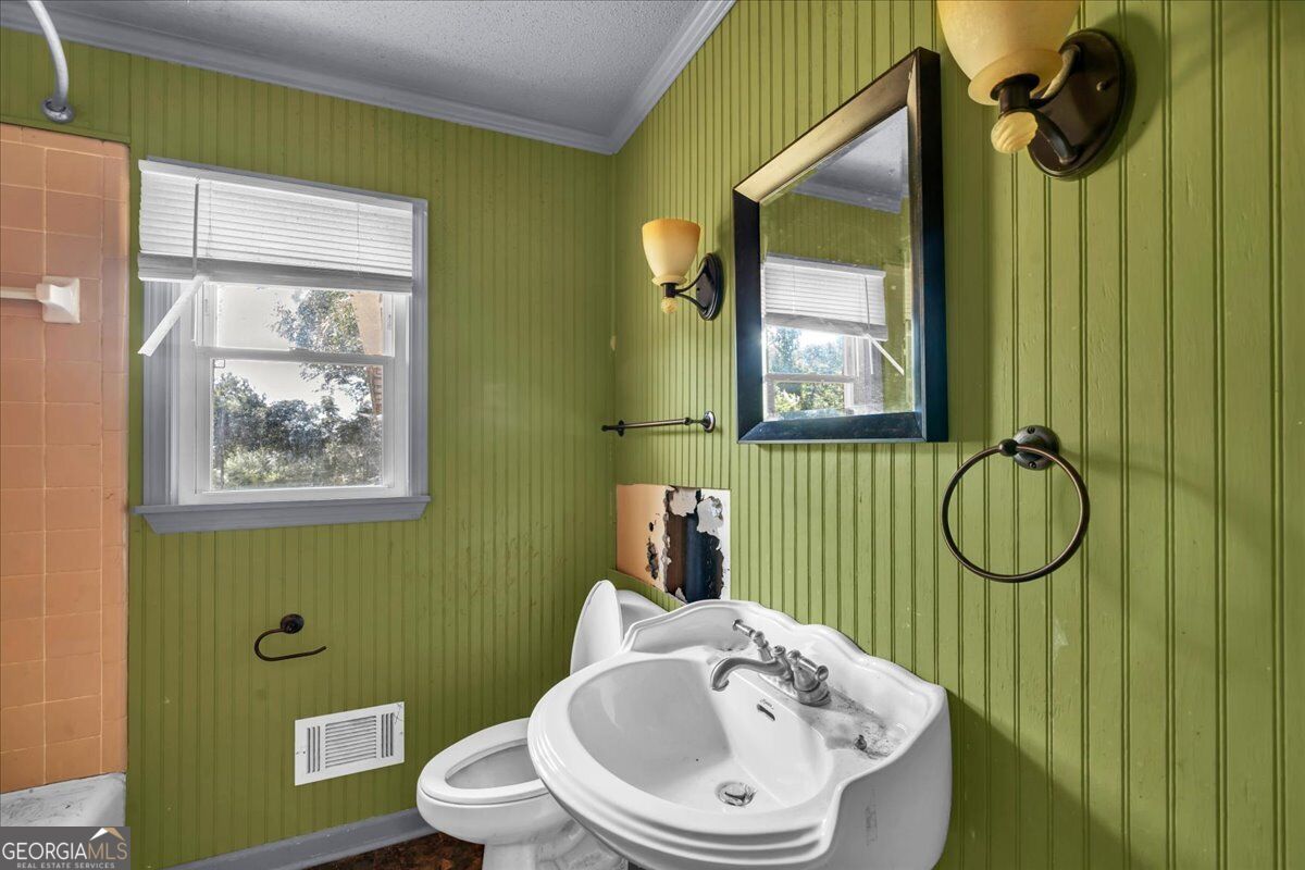 6555 Ga Hwy 313 Property Photo 13
