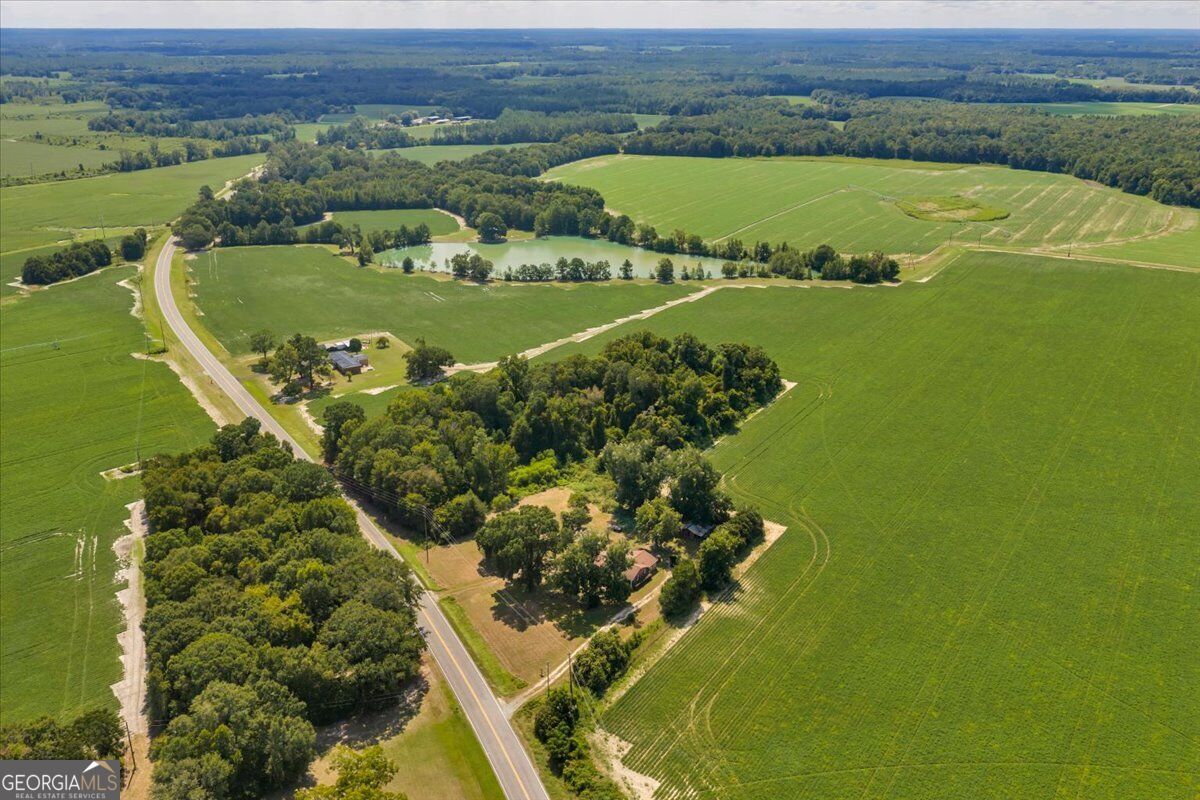 6555 Ga Hwy 313 Property Photo 33
