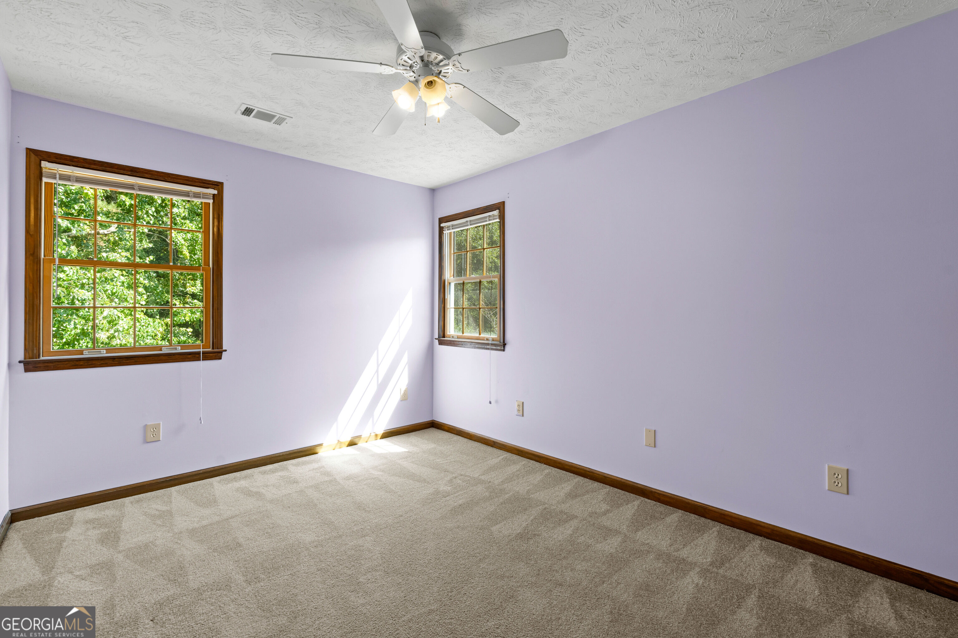 178 Major Road Property Photo 37