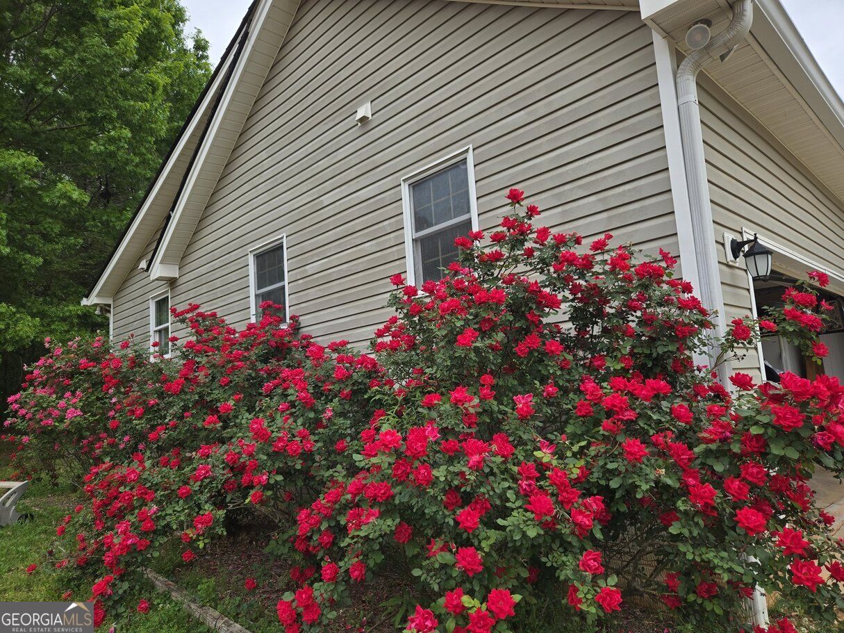 178 Major Road Property Photo 53