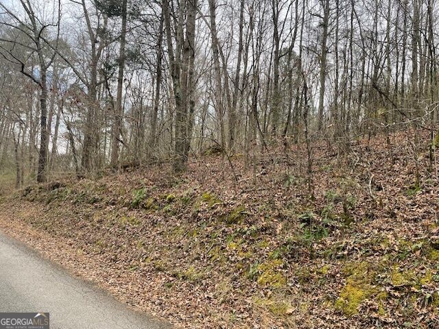 0 Wooten Lane Property Photo 2