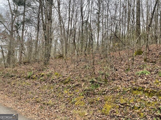 0 Wooten Lane Property Photo 4