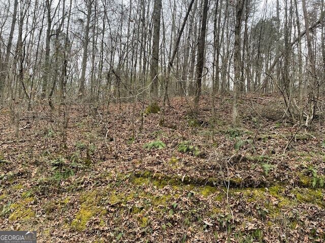 0 Wooten Lane Property Photo 5